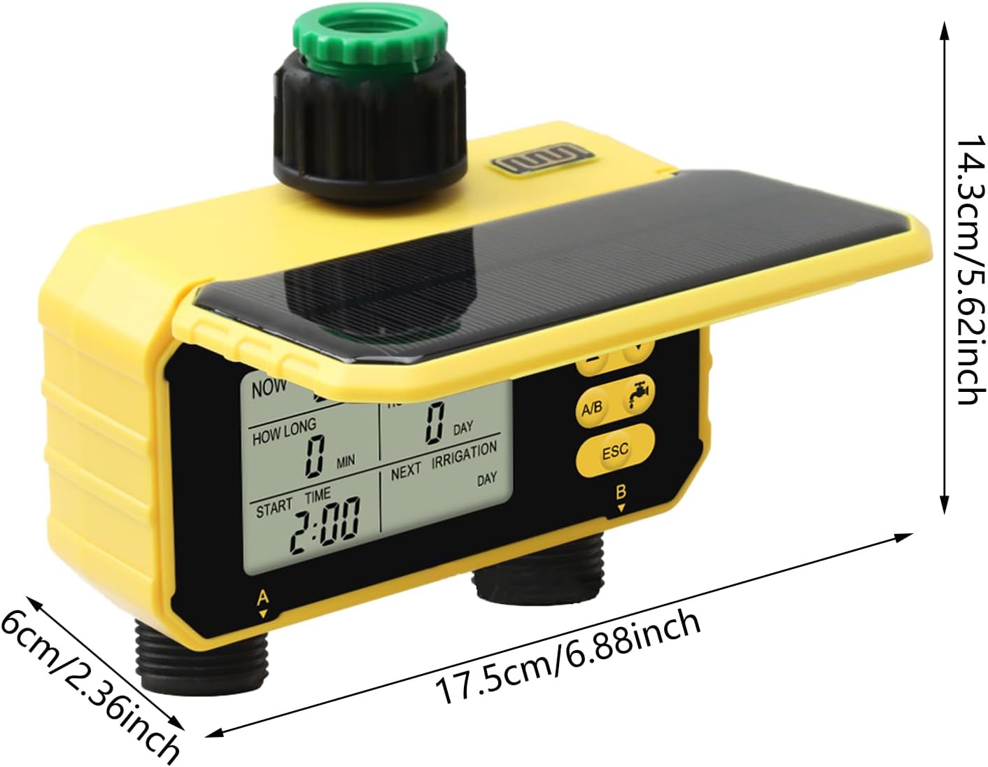 真作】掛軸 三木貞芳 淡墨桜 人気画家 名品 共箱入 O196